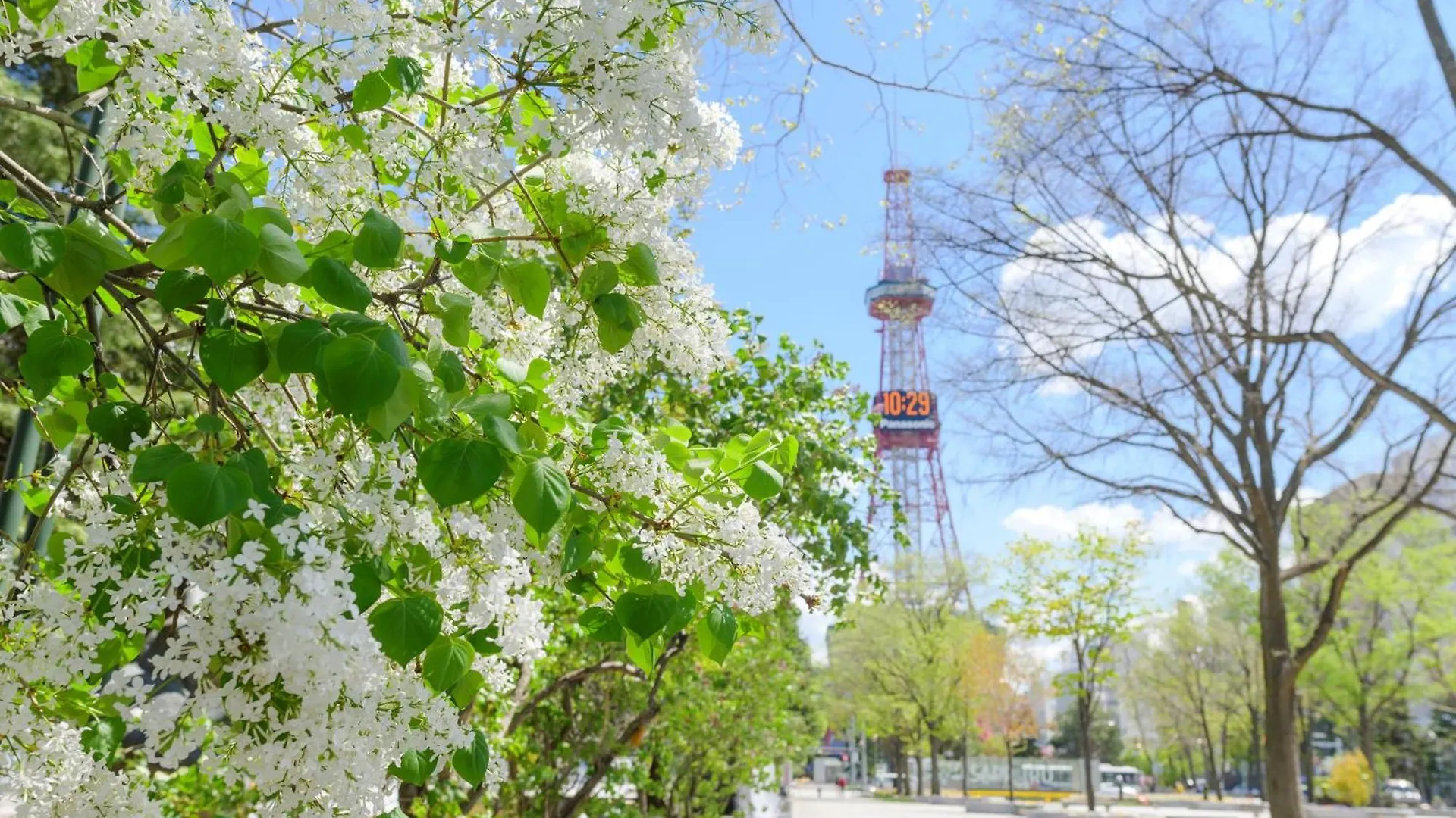 Odysis Sapporo Odori Koen Hotel Japonsko